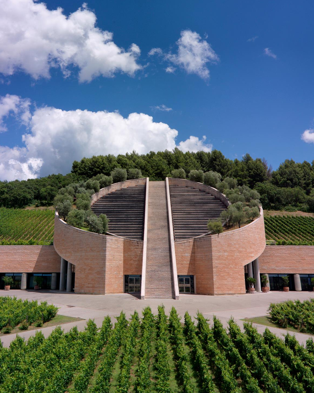 Cantina Petra Wine vino design toscana