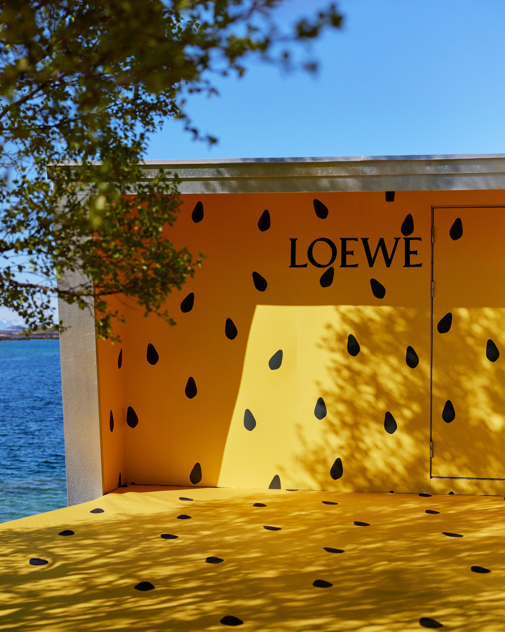 Loewe rifugio Norvegia Manshausen Island