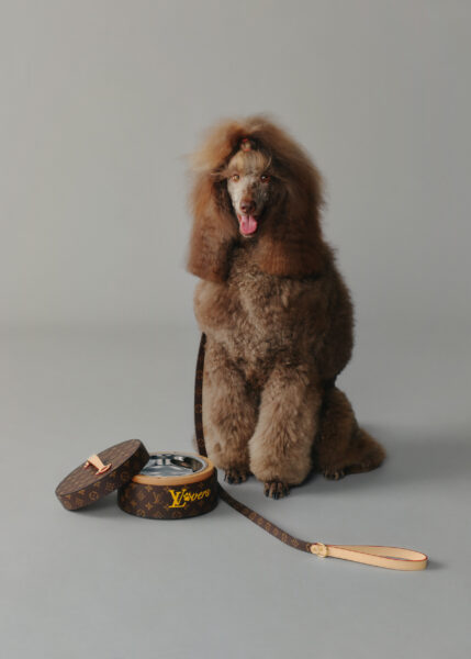 Louis Vuitton DOG LVERS Pre Collection Spring Summer 2025 uomo