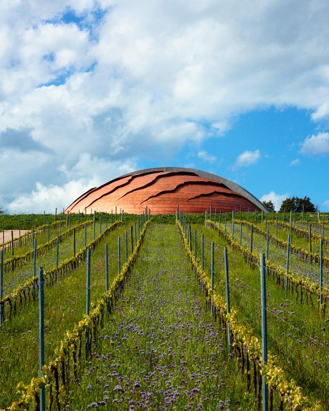 Tenuta Castelbuono cantina vino design Umbria