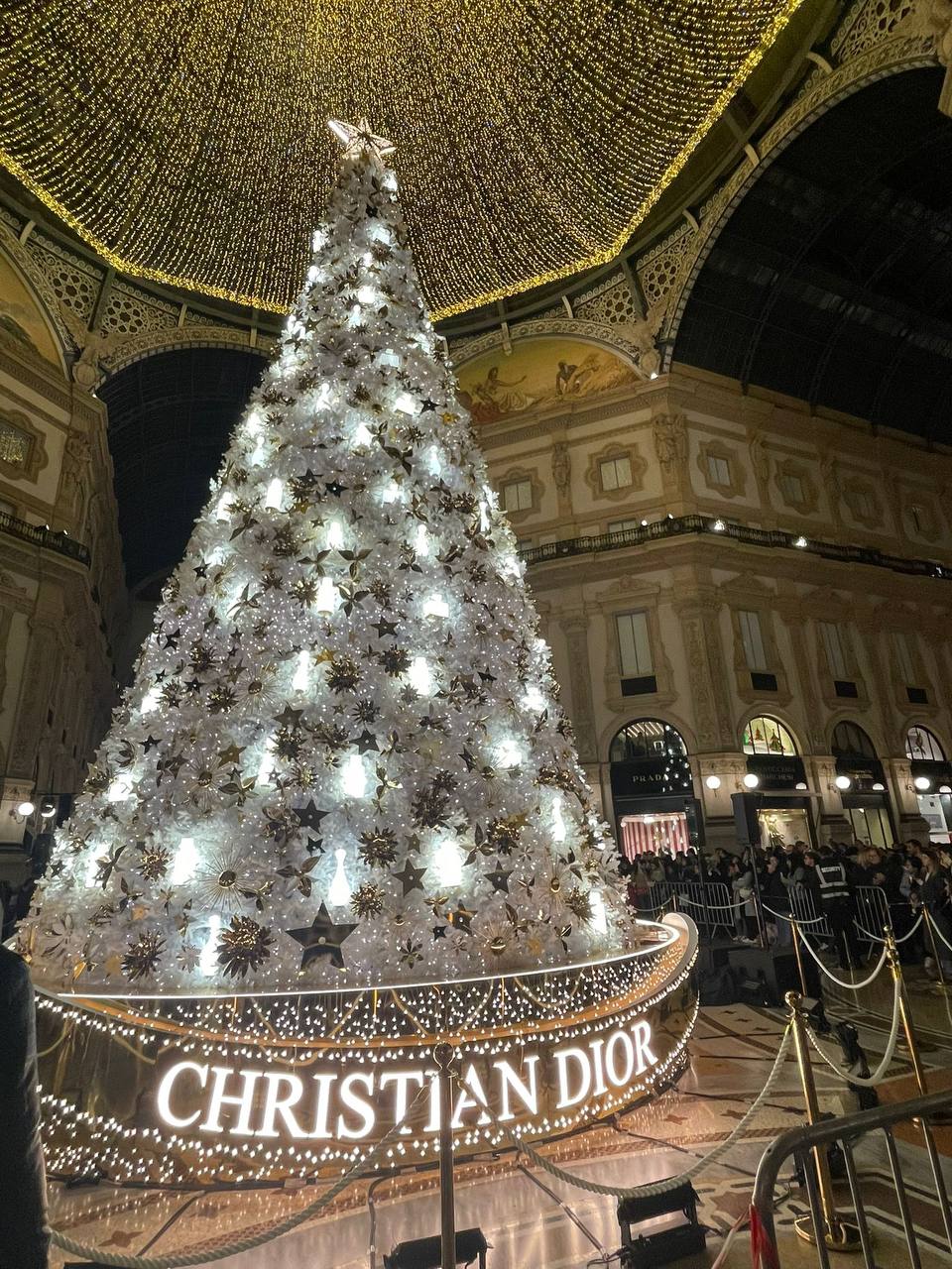 Christian Dior Beauty albero natale galleria milano