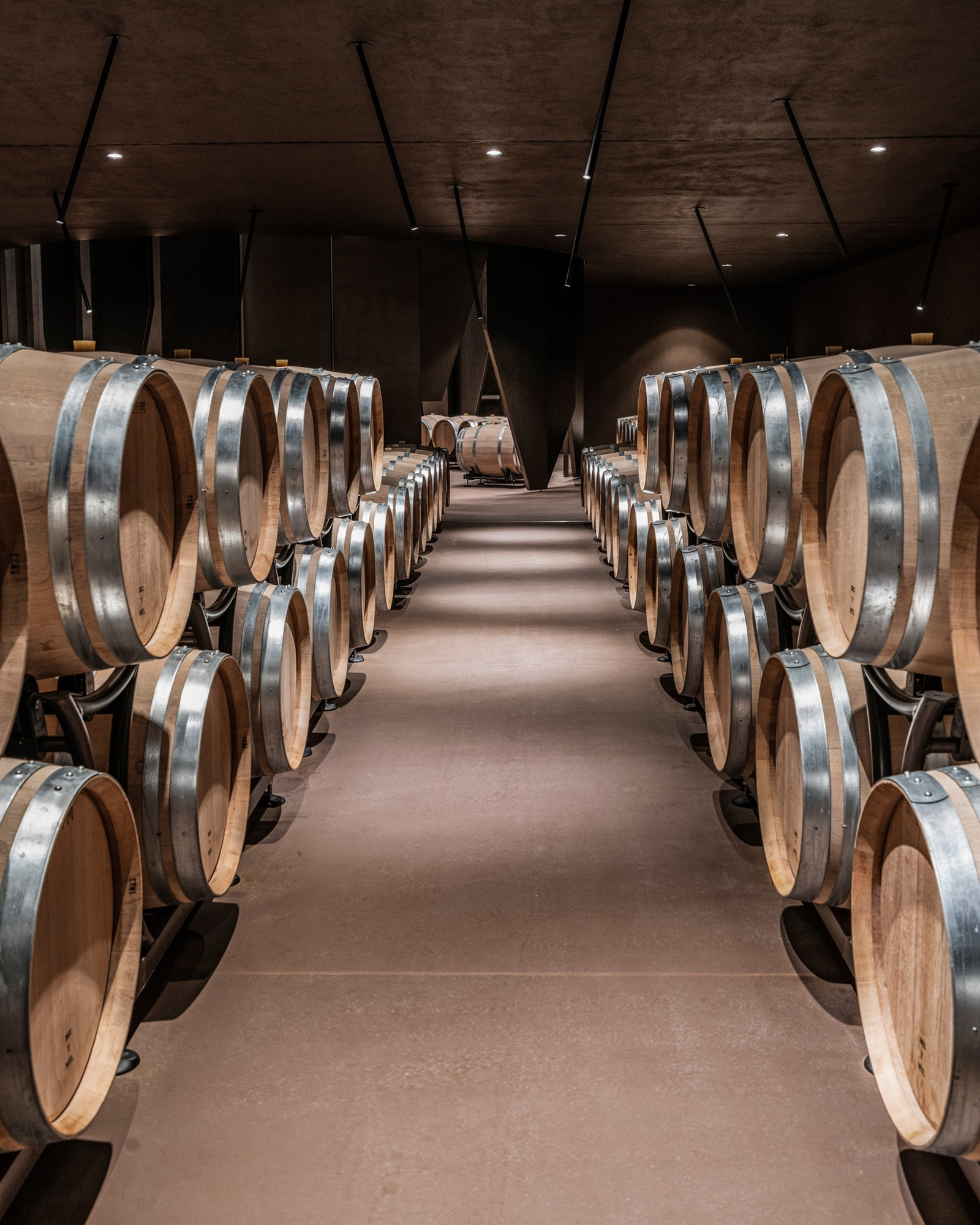 Tenuta Guado Al Tasso Marchesi Antinori Cantina invisibile nascosta