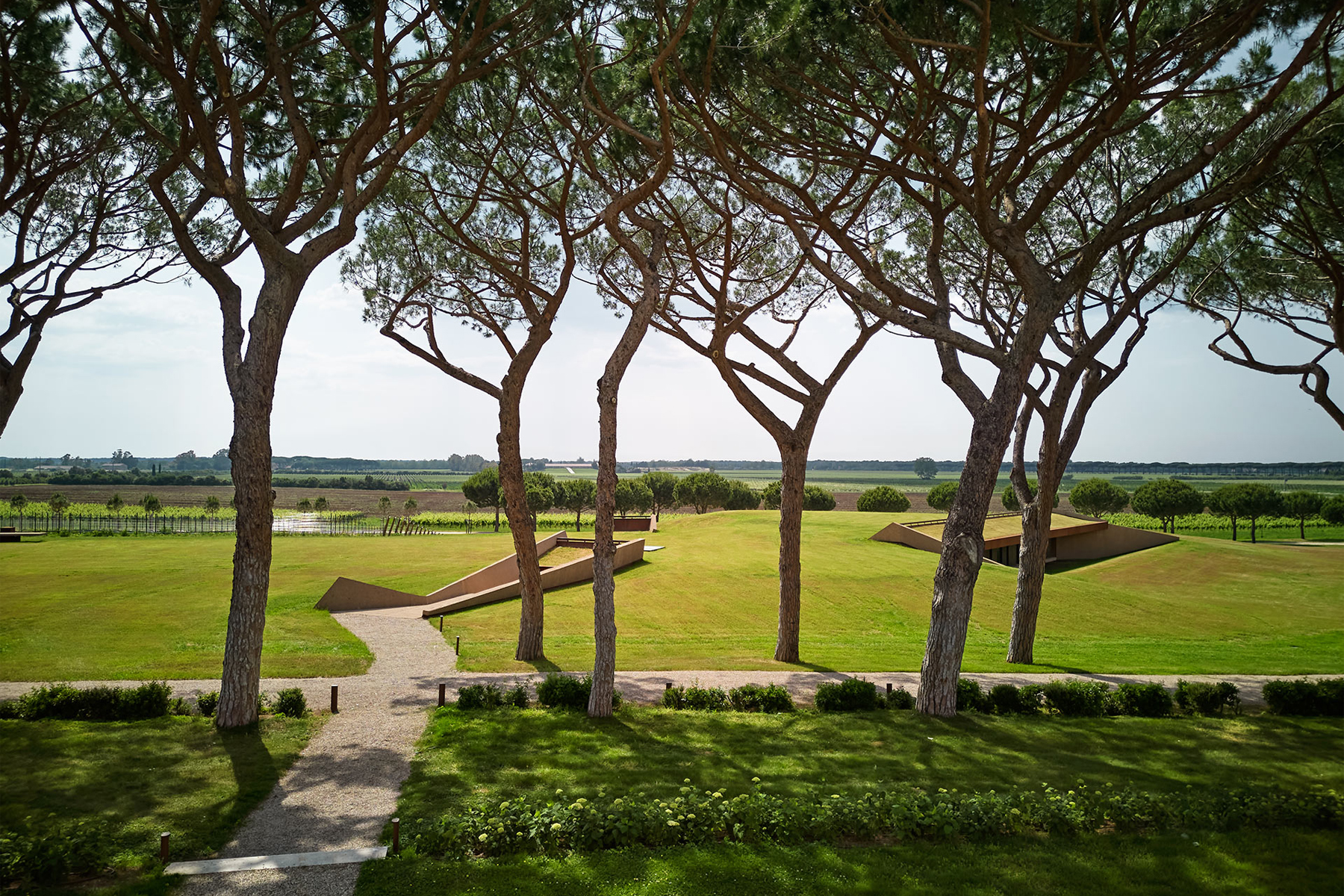 Tenuta Guado Al Tasso Marchesi Antinori Cantina invisibile nascosta