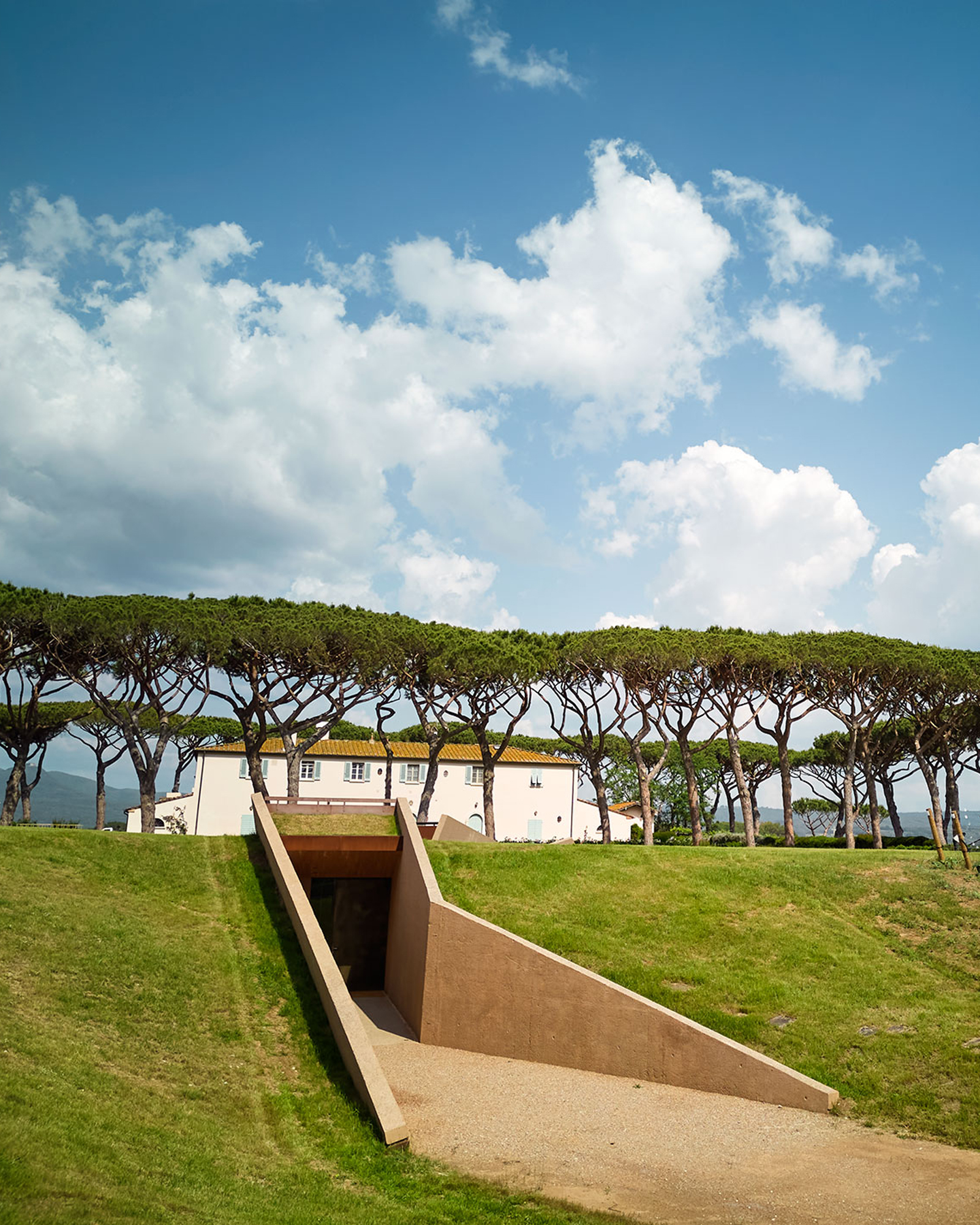 Tenuta Guado Al Tasso Marchesi Antinori Cantina invisibile nascosta